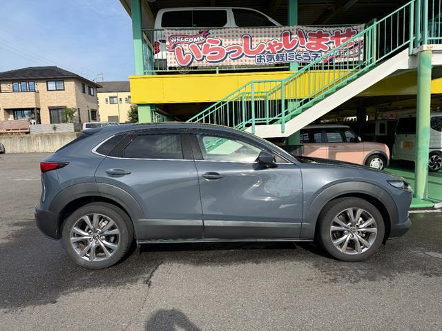 ＣＸ－３０ ２０Ｓ　プロアクティブ　ツーリングセレクション　ナビ　ＴＶ　Ｂカメラ　ＥＴＣ（3枚目）