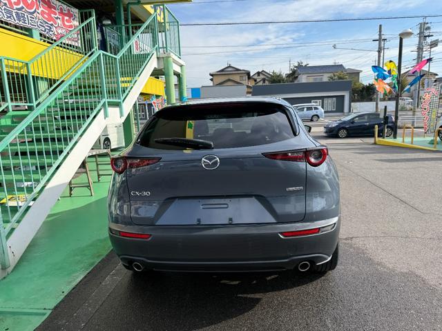 ＣＸ－３０ ２０Ｓ　プロアクティブ　ツーリングセレクション　ナビ　ＴＶ　Ｂカメラ　ＥＴＣ（7枚目）