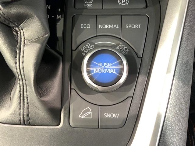 ＲＡＶ４ アドベンチャー　最長５年保証純正ナビＴＶＲカメラ　リヤカメラ　記録簿付　クルーズＣ　ナビテレビ　ＬＥＤライト　イモビ　地デジ　ＥＳＣ　スマキー　ＥＴＣ付き　ドラレコ付き　エアコン　４ＷＤ車　電動パワーシート　ＡＢＳ（15枚目）