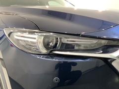 �̣ţĥإåɥ饤�Ȥϡ������νִ֤��������̤�ȯ�����������Ť��ʤ�ȥ�ͥ�ʤɤǤΰ��괶����ޤ��� 6