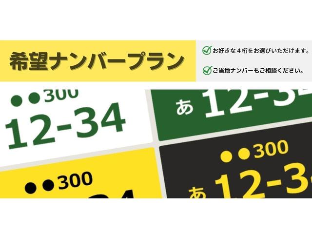 ハイエースバン Ｓ－ＧＬ５０ＴｈＡＮＶ　ＳＡＮＴＡＲＯＳＡ　カタリナデモカー（34枚目）