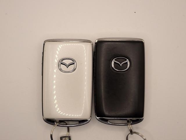 CX-3 15S ツーリング 禁煙/純正ナビ(CD・DVD・BT接続)/フルセグTV/バックカメラ/ETC/ドラレコ/LEDヘッドライト/スマートシティブレーキ/レーダークルーズコントロール/パーキングセンサー/BSM(9枚目)