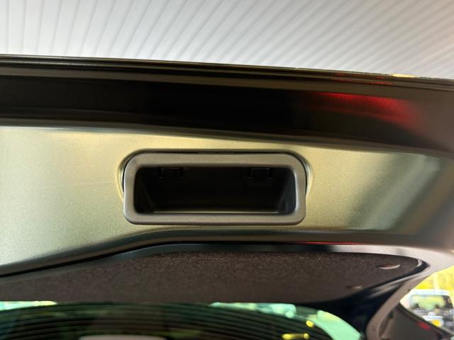 Ｎ－ＯＮＥ ＲＳ　純正８インチナビ　新車未登録　２トーンカラー　ホンダセンシング　ＭＴ車（42枚目）