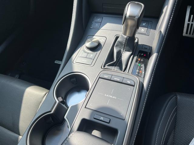 ＲＣ ＲＣ３００　Ｆスポーツ　３眼ＬＥＤヘッドライト　サンルーフ　ステアリングヒーター　純正１９インチＡＷ　ブラックレザーシート　シートヒーター／エアコン　トヨタセーフティセンス　ＢＳＭ　フルセグＴＶ　バックカメラ　ＥＴＣ（46枚目）
