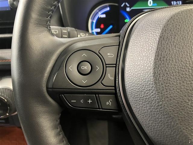 ＲＡＶ４ ハイブリッドアドベンチャー　ＬＥＤヘッドライト　エアバッグ　ＡＢＳ　衝突軽減システム　クルーズコントロール　アルミホイール　横滑り防止　ワンオ－ナ－　キーレス　メモリーナビ　スマートキー　４ＷＤ　ナビ　オートエアコン　リアカメラ（28枚目）