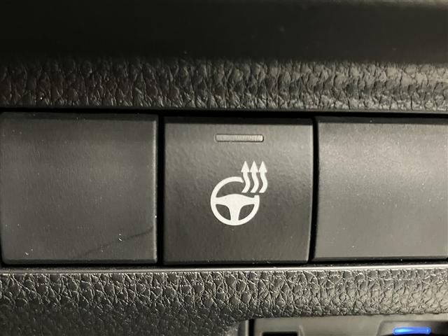 ＲＡＶ４ ハイブリッドアドベンチャー　ＬＥＤヘッドライト　エアバッグ　ＡＢＳ　衝突軽減システム　クルーズコントロール　アルミホイール　横滑り防止　ワンオ－ナ－　キーレス　メモリーナビ　スマートキー　４ＷＤ　ナビ　オートエアコン　リアカメラ（30枚目）