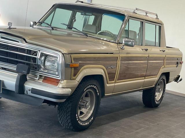 ベースグレード　１９８９年モデル　ワゴニアＳＵＴ　ＢＦＧｏｏｄｒｉｃｈ　１ＤＩＮオーディオ　三角窓　コラムシフト　５．９ＬＶ８エンジン(46枚目)