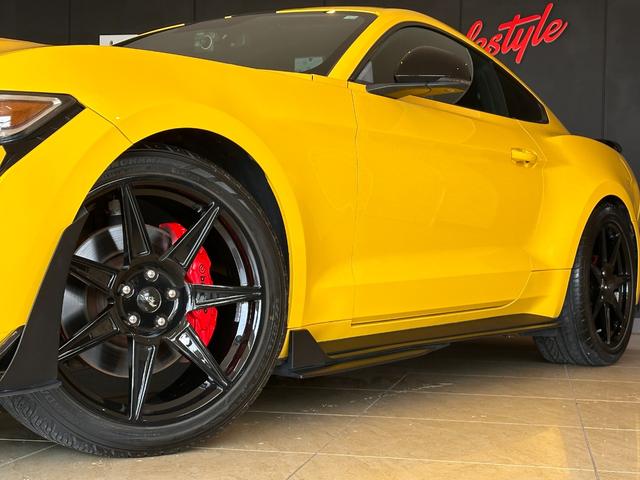 マスタング ５０イヤーズ　エディション　ＧＴ５００　ＳＨＥＬＢＹ　ＳＴＹＬＥ　限定３５０台　トリプルイエロー　ベンチレーション　シートヒーター　バックカメラ　ディスプレイオーディオ　ブラックストライプ　ＥＴＣ　ドライブレコーダー（12枚目）