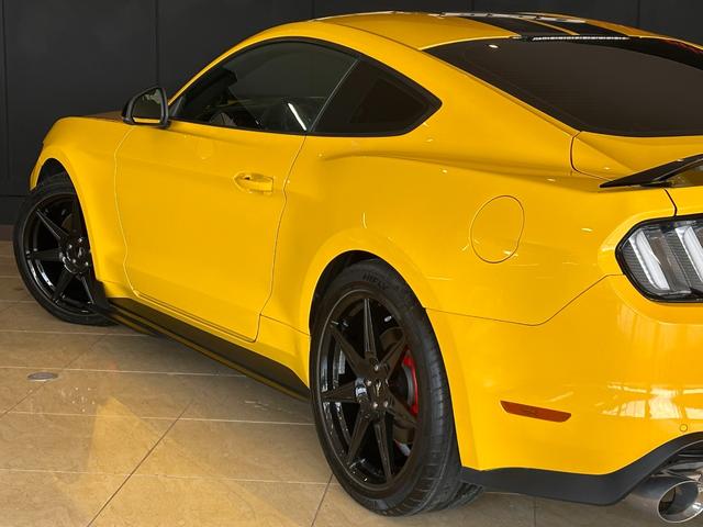 マスタング ５０イヤーズ　エディション　ＧＴ５００　ＳＨＥＬＢＹ　ＳＴＹＬＥ　限定３５０台　トリプルイエロー　ベンチレーション　シートヒーター　バックカメラ　ディスプレイオーディオ　ブラックストライプ　ＥＴＣ　ドライブレコーダー（67枚目）