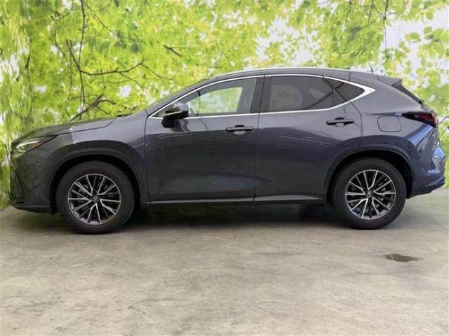 NX NX350hバージョンL サンルーフ/マークレビンソン/保証書/純正 SDナビ/デジタルインナーミラー/衝突安全装置/シートヒーター/車線逸脱防止支援システム/シート フルレザー/電動バックドア/ヘッドランプ LED 革シート(2枚目)