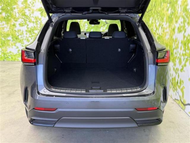 NX NX350hバージョンL サンルーフ/マークレビンソン/保証書/純正 SDナビ/デジタルインナーミラー/衝突安全装置/シートヒーター/車線逸脱防止支援システム/シート フルレザー/電動バックドア/ヘッドランプ LED 革シート(23枚目)