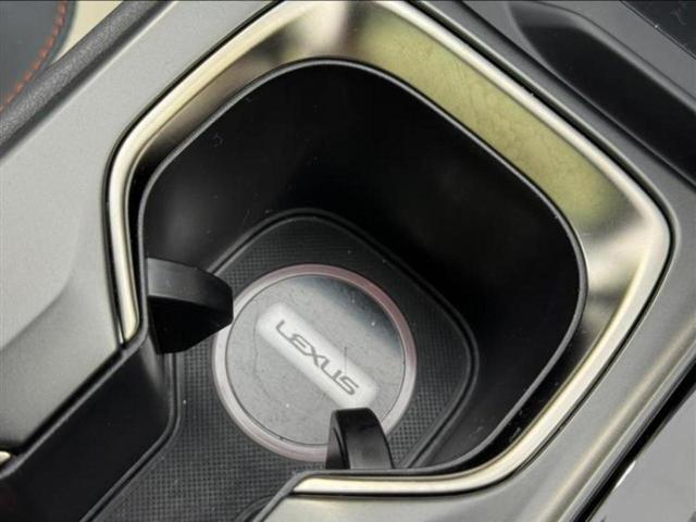 NX NX350hバージョンL サンルーフ/マークレビンソン/保証書/純正 SDナビ/デジタルインナーミラー/衝突安全装置/シートヒーター/車線逸脱防止支援システム/シート フルレザー/電動バックドア/ヘッドランプ LED 革シート(30枚目)