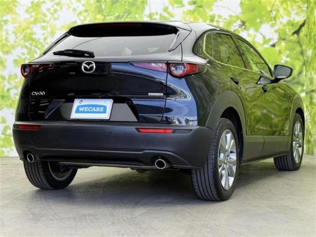 ＣＸ－３０ ＸＤ　Ｌパッケージ　新品タイヤ／ＢＯＳＥ／保証書／純正　ＳＤナビ／アイアクティブセンス（マツダ）／シートヒーター　前席／３６０°ビューモニター／車線逸脱防止支援システム／シート　フルレザー　革シート　衝突被害軽減システム（3枚目）