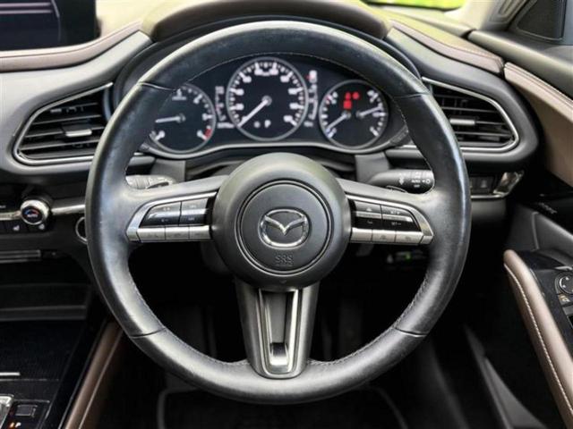 ＣＸ－３０ ＸＤ　Ｌパッケージ　新品タイヤ／ＢＯＳＥ／保証書／純正　ＳＤナビ／アイアクティブセンス（マツダ）／シートヒーター　前席／３６０°ビューモニター／車線逸脱防止支援システム／シート　フルレザー　革シート　衝突被害軽減システム（16枚目）