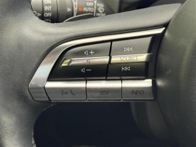 ＣＸ－３０ ＸＤ　Ｌパッケージ　新品タイヤ／ＢＯＳＥ／保証書／純正　ＳＤナビ／アイアクティブセンス（マツダ）／シートヒーター　前席／３６０°ビューモニター／車線逸脱防止支援システム／シート　フルレザー　革シート　衝突被害軽減システム（17枚目）