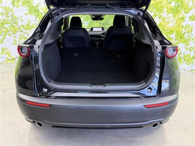 ＣＸ－３０ ＸＤ　Ｌパッケージ　新品タイヤ／ＢＯＳＥ／保証書／純正　ＳＤナビ／アイアクティブセンス（マツダ）／シートヒーター　前席／３６０°ビューモニター／車線逸脱防止支援システム／シート　フルレザー　革シート　衝突被害軽減システム（22枚目）