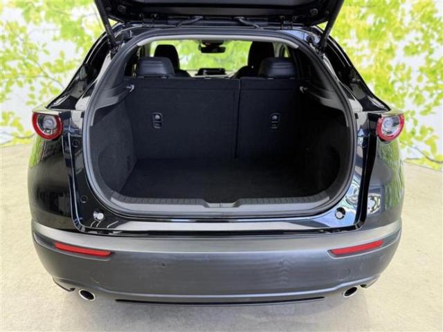 ＣＸ－３０ ＸＤ　Ｌパッケージ　新品タイヤ／ＢＯＳＥ／保証書／純正　ＳＤナビ／アイアクティブセンス（マツダ）／シートヒーター　前席／３６０°ビューモニター／車線逸脱防止支援システム／シート　フルレザー　革シート　衝突被害軽減システム（23枚目）