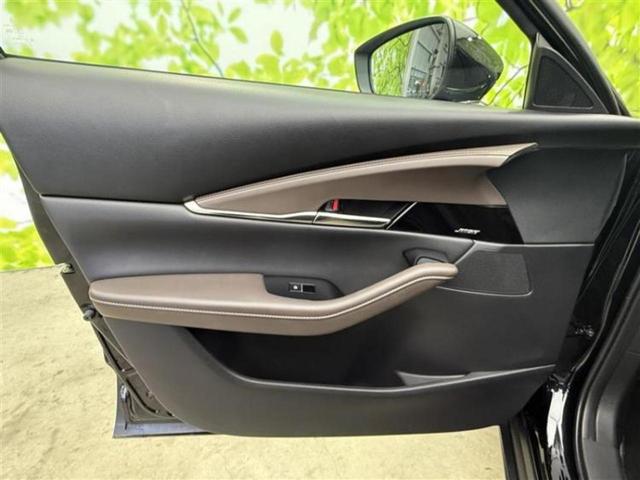 ＣＸ－３０ ＸＤ　Ｌパッケージ　新品タイヤ／ＢＯＳＥ／保証書／純正　ＳＤナビ／アイアクティブセンス（マツダ）／シートヒーター　前席／３６０°ビューモニター／車線逸脱防止支援システム／シート　フルレザー　革シート　衝突被害軽減システム（25枚目）