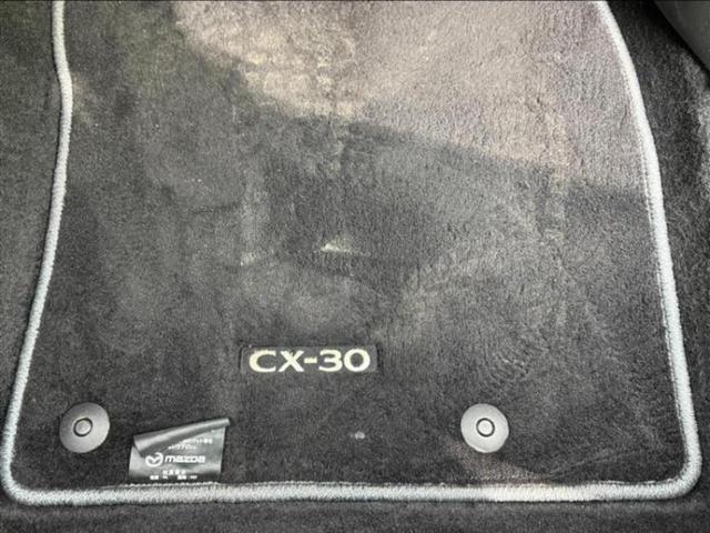ＣＸ－３０ ＸＤ　Ｌパッケージ　新品タイヤ／ＢＯＳＥ／保証書／純正　ＳＤナビ／アイアクティブセンス（マツダ）／シートヒーター　前席／３６０°ビューモニター／車線逸脱防止支援システム／シート　フルレザー　革シート　衝突被害軽減システム（29枚目）