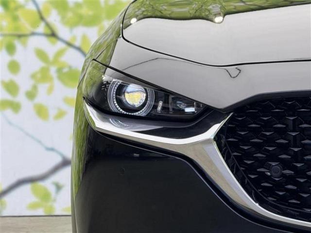 ＣＸ－３０ ＸＤ　Ｌパッケージ　新品タイヤ／ＢＯＳＥ／保証書／純正　ＳＤナビ／アイアクティブセンス（マツダ）／シートヒーター　前席／３６０°ビューモニター／車線逸脱防止支援システム／シート　フルレザー　革シート　衝突被害軽減システム（46枚目）