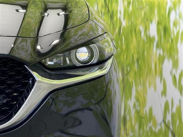 ＣＸ－３０ ＸＤ　Ｌパッケージ　新品タイヤ／ＢＯＳＥ／保証書／純正　ＳＤナビ／アイアクティブセンス（マツダ）／シートヒーター　前席／３６０°ビューモニター／車線逸脱防止支援システム／シート　フルレザー　革シート　衝突被害軽減システム（47枚目）