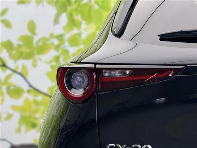 ＣＸ－３０ ＸＤ　Ｌパッケージ　新品タイヤ／ＢＯＳＥ／保証書／純正　ＳＤナビ／アイアクティブセンス（マツダ）／シートヒーター　前席／３６０°ビューモニター／車線逸脱防止支援システム／シート　フルレザー　革シート　衝突被害軽減システム（48枚目）
