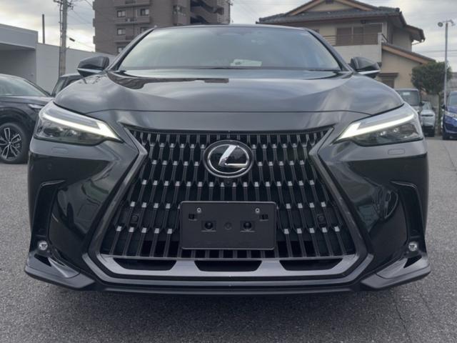 NX NX250 バージョンL 車検2年付き、純正ナビ(フルセグ・スマホ連携)、パノラマビューカメラ、ETC2.0、純正アルミ、パワーシート、シートヒーター&クーラー、LEDヘッドライト、ハンドルヒーター、レザーシート(3枚目)