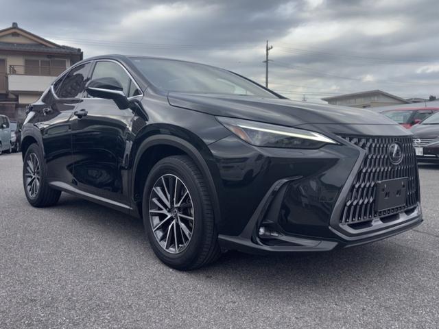 NX NX250 バージョンL 車検2年付き、純正ナビ(フルセグ・スマホ連携)、パノラマビューカメラ、ETC2.0、純正アルミ、パワーシート、シートヒーター&クーラー、LEDヘッドライト、ハンドルヒーター、レザーシート(4枚目)