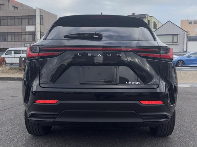 NX NX250 バージョンL 車検2年付き、純正ナビ(フルセグ・スマホ連携)、パノラマビューカメラ、ETC2.0、純正アルミ、パワーシート、シートヒーター&クーラー、LEDヘッドライト、ハンドルヒーター、レザーシート(7枚目)