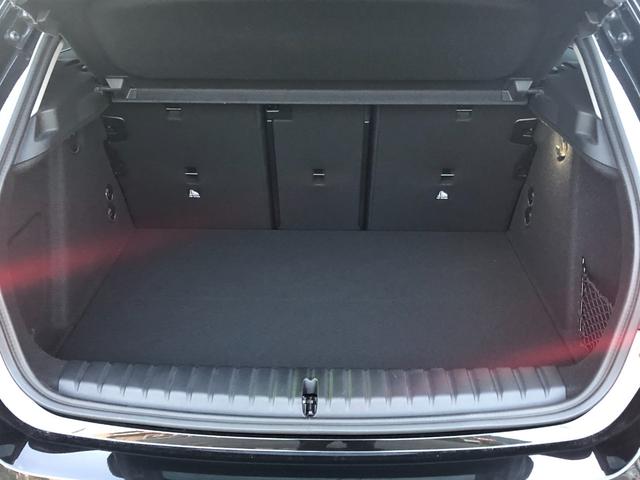 1シリーズ 118i プレイ 仕入車両・ストレージPKG・16インチAW・ACC AppleCarPlay・アンビエントライト・バックカメラ・オートホールド・電動シート・電動トランク・ミラーETC(15枚目)