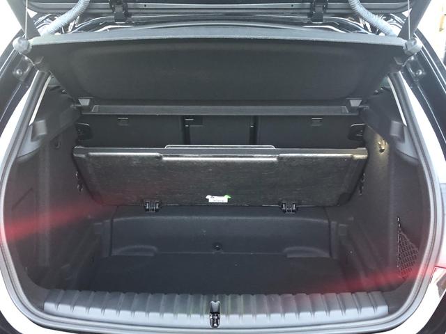 1シリーズ 118i プレイ 仕入車両・ストレージPKG・16インチAW・ACC AppleCarPlay・アンビエントライト・バックカメラ・オートホールド・電動シート・電動トランク・ミラーETC(16枚目)