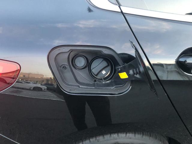 1シリーズ 118i プレイ 仕入車両・ストレージPKG・16インチAW・ACC AppleCarPlay・アンビエントライト・バックカメラ・オートホールド・電動シート・電動トランク・ミラーETC(17枚目)