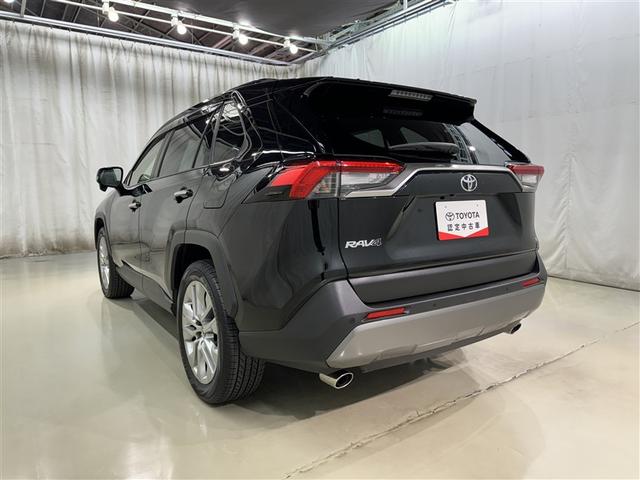 ＲＡＶ４ Ｇ　Ｚパッケージ　衝突被害軽減システム　メモリーナビ　フルセグ　バックカメラ　ＥＴＣ　ドラレコ　ＣＤ　ＤＶＤ再生　サンルーフ　電動シート　オートクルーズコントロール　ＬＥＤヘッドランプ　スマートキー　キーレス　４ＷＤ（5枚目）