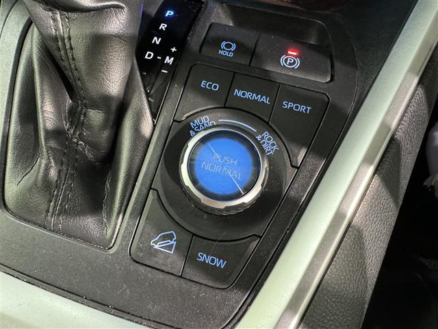 ＲＡＶ４ Ｇ　Ｚパッケージ　衝突被害軽減システム　メモリーナビ　フルセグ　バックカメラ　ＥＴＣ　ドラレコ　ＣＤ　ＤＶＤ再生　サンルーフ　電動シート　オートクルーズコントロール　ＬＥＤヘッドランプ　スマートキー　キーレス　４ＷＤ（22枚目）