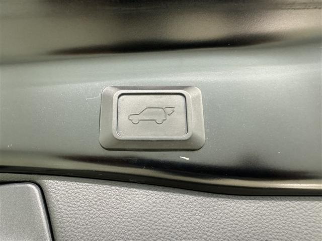 ＲＡＶ４ Ｇ　Ｚパッケージ　衝突被害軽減システム　メモリーナビ　フルセグ　バックカメラ　ＥＴＣ　ドラレコ　ＣＤ　ＤＶＤ再生　サンルーフ　電動シート　オートクルーズコントロール　ＬＥＤヘッドランプ　スマートキー　キーレス　４ＷＤ（37枚目）
