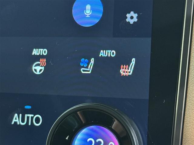 ヴェルファイア Z プレミア 衝突被害軽減システム フルセグ バックカメラ ETC ドラレコ ミュージックプレイヤー接続可 後席モニター サンルーフ 革シート 電動シート オートクルーズコントロール LEDヘッドランプ 3列シート(18枚目)