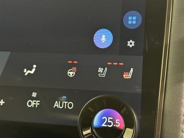 アルファードハイブリッド Z 衝突被害軽減システム メモリーナビ フルセグ バックカメラ ETC ドラレコ ミュージックプレイヤー接続可 後席モニター サンルーフ 電動シート オートクルーズコントロール LEDヘッドランプ(19枚目)