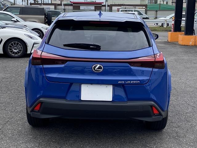 UX UX250h グレイスフル エクスプローラー ワンオーナー車/4WD/LEXUSセーフティ+/L-TEXシート/ベンチレーション&シートヒーター/ステアリングヒーター/パワーバックドア/フェンダーアーチ同色(8枚目)