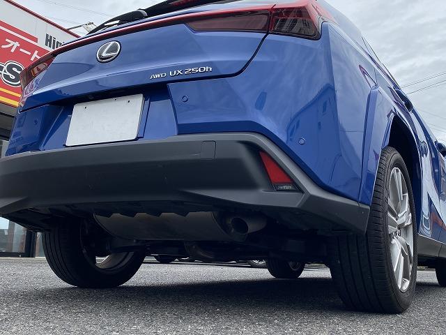 UX UX250h グレイスフル エクスプローラー ワンオーナー車/4WD/LEXUSセーフティ+/L-TEXシート/ベンチレーション&シートヒーター/ステアリングヒーター/パワーバックドア/フェンダーアーチ同色(19枚目)