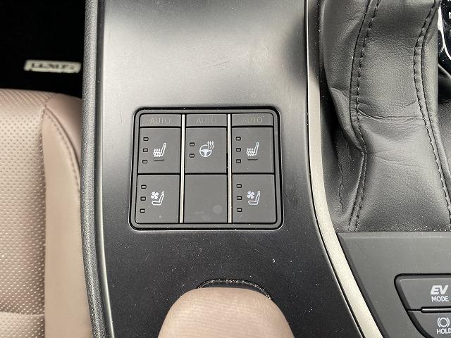 UX UX250h グレイスフル エクスプローラー ワンオーナー車/4WD/LEXUSセーフティ+/L-TEXシート/ベンチレーション&シートヒーター/ステアリングヒーター/パワーバックドア/フェンダーアーチ同色(33枚目)