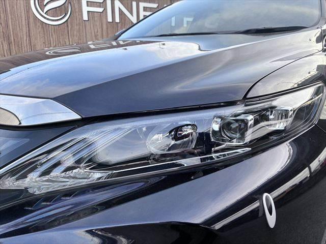 ���w�b�h���C�g