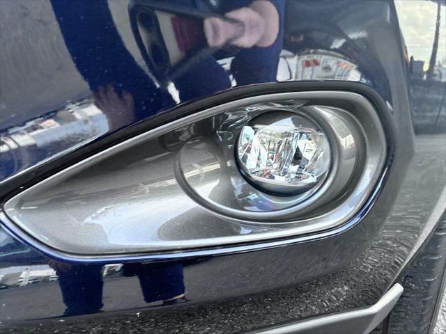 ���t�H�O�����v