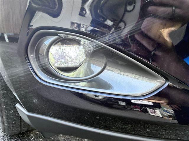 ���t�H�O�����v�_����