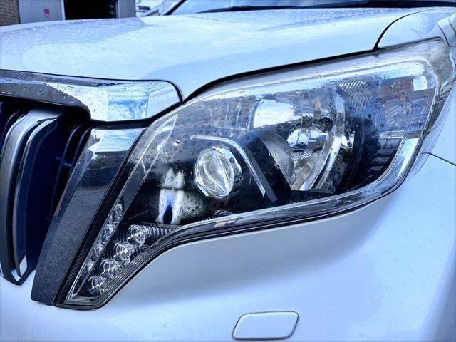 ���_�����w�b�h���C�g