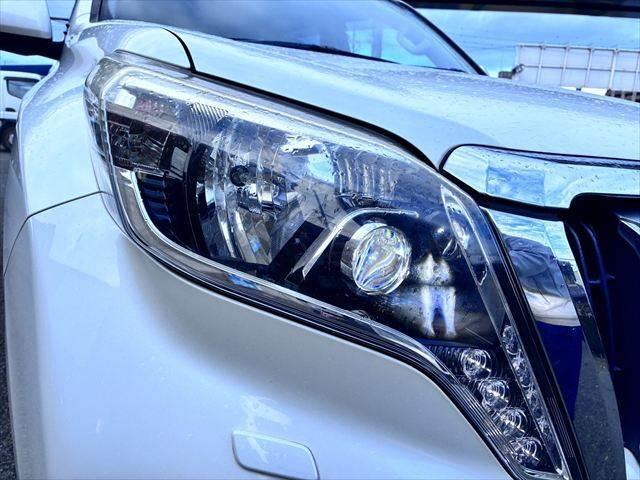 ���_�����w�b�h���C�g