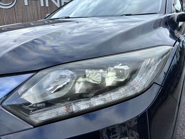 ���_�����w�b�h���C�g