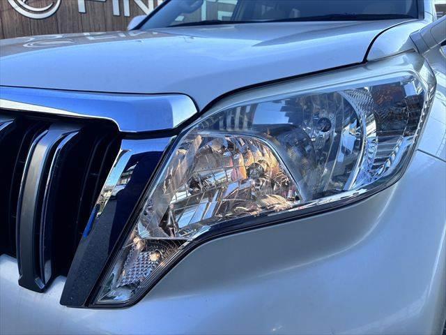 ���_�����w�b�h���C�g