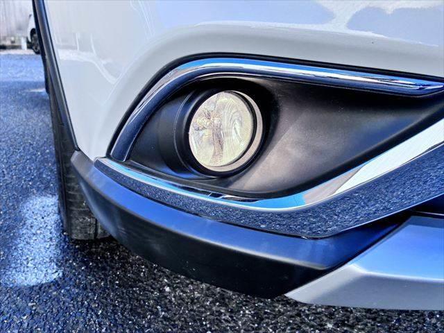 ���E�t�H�O�����v�_����