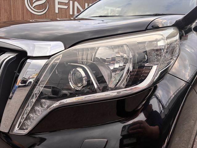 ���w�b�h���C�g