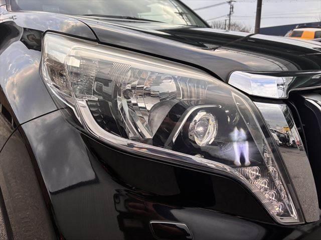 ���_�����w�b�h���C�g